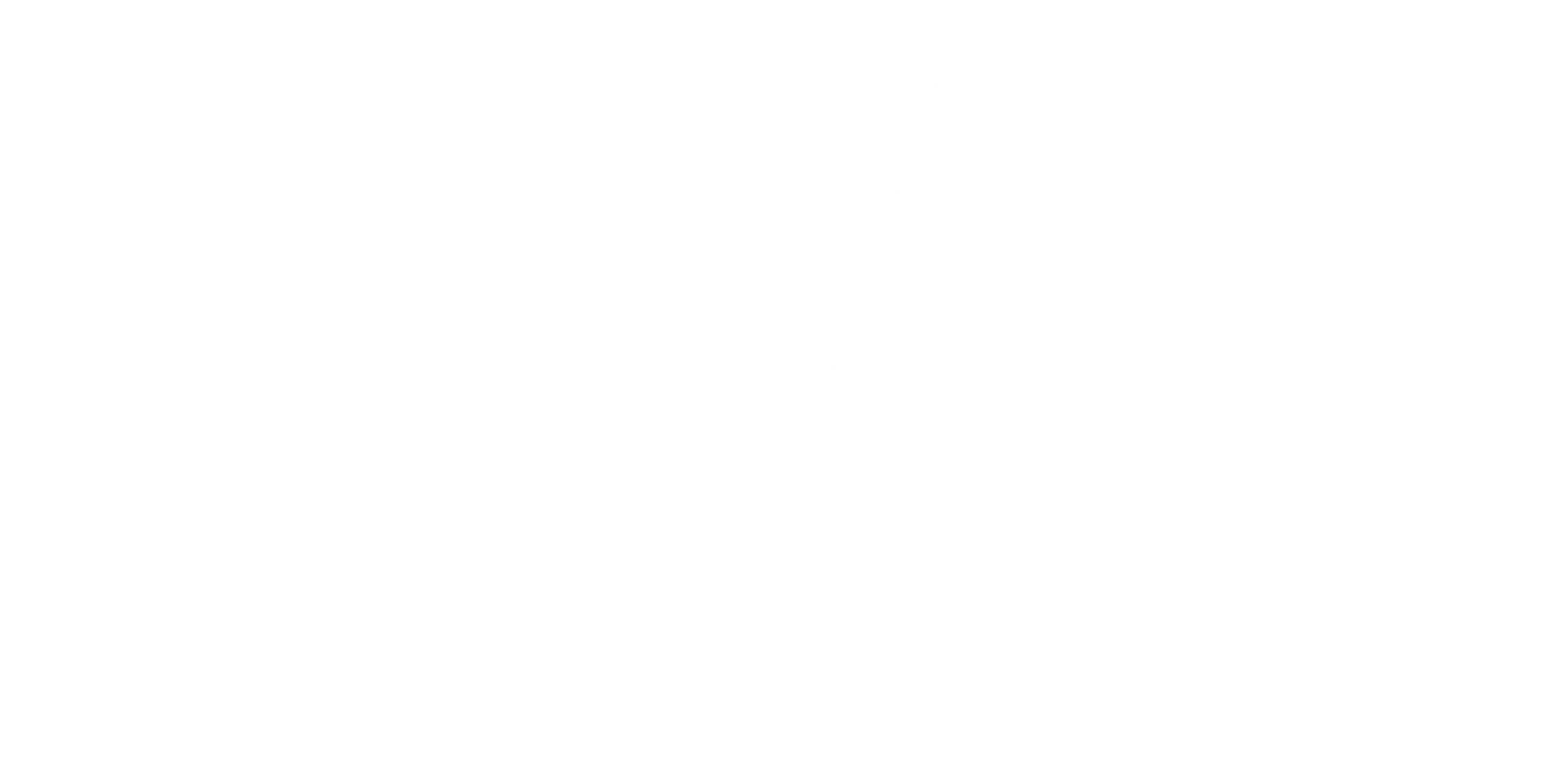 ferreteria-bricovelez-logo-webp-blanco